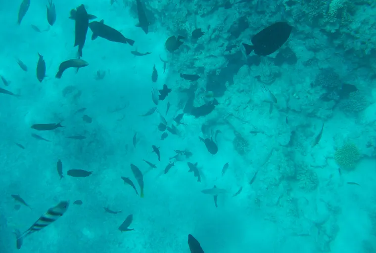 Hurghada