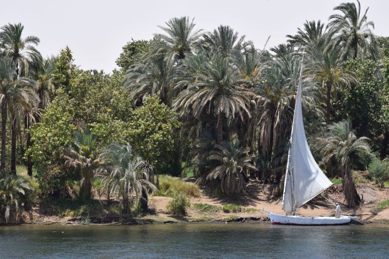 Découvrez comment la dahabeya Amarna redéfinit votre croisière sur le Nil
